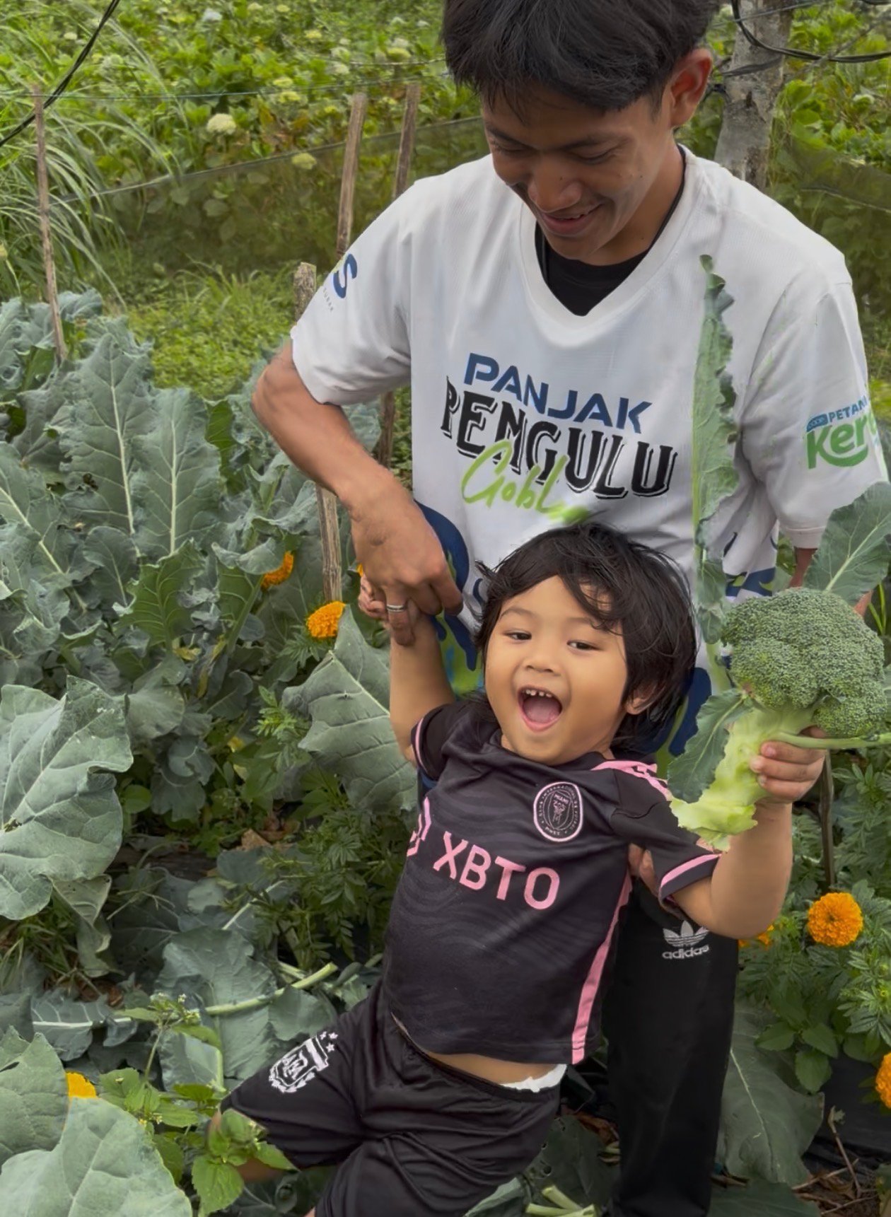 Panen brokoli organik di Kebun Beny, Petani Muda Keren Gobleg
