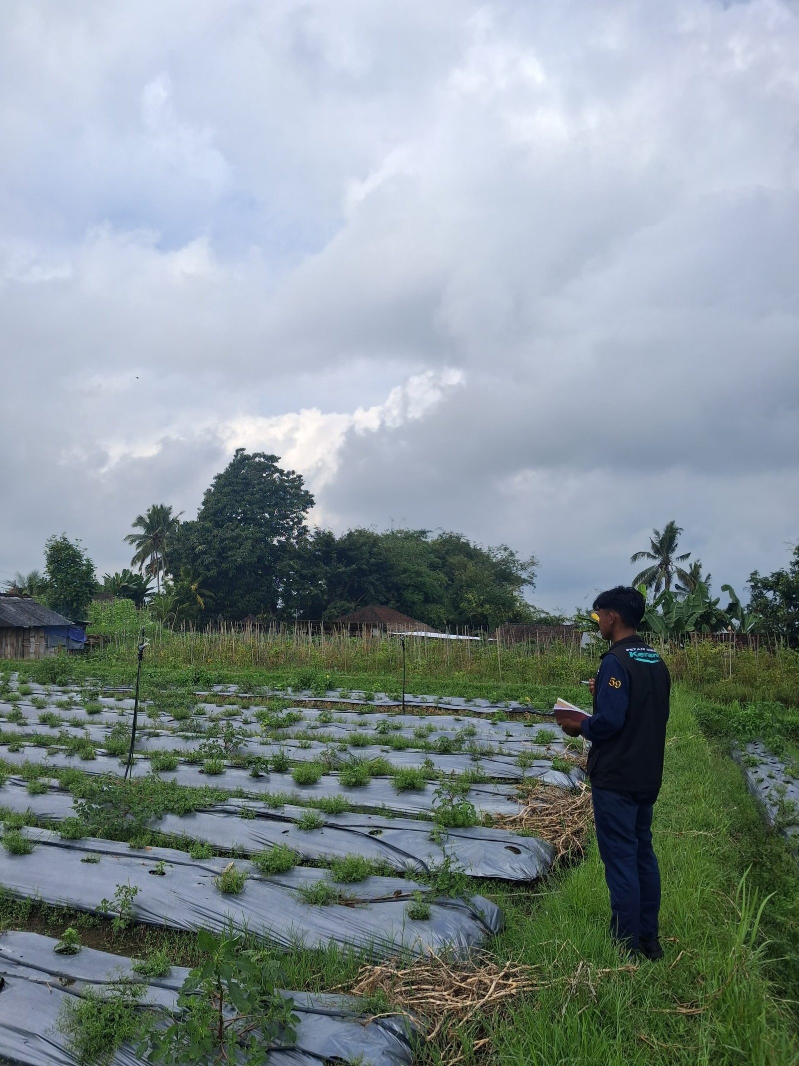 Pembelajaran smart farming dan persemaian