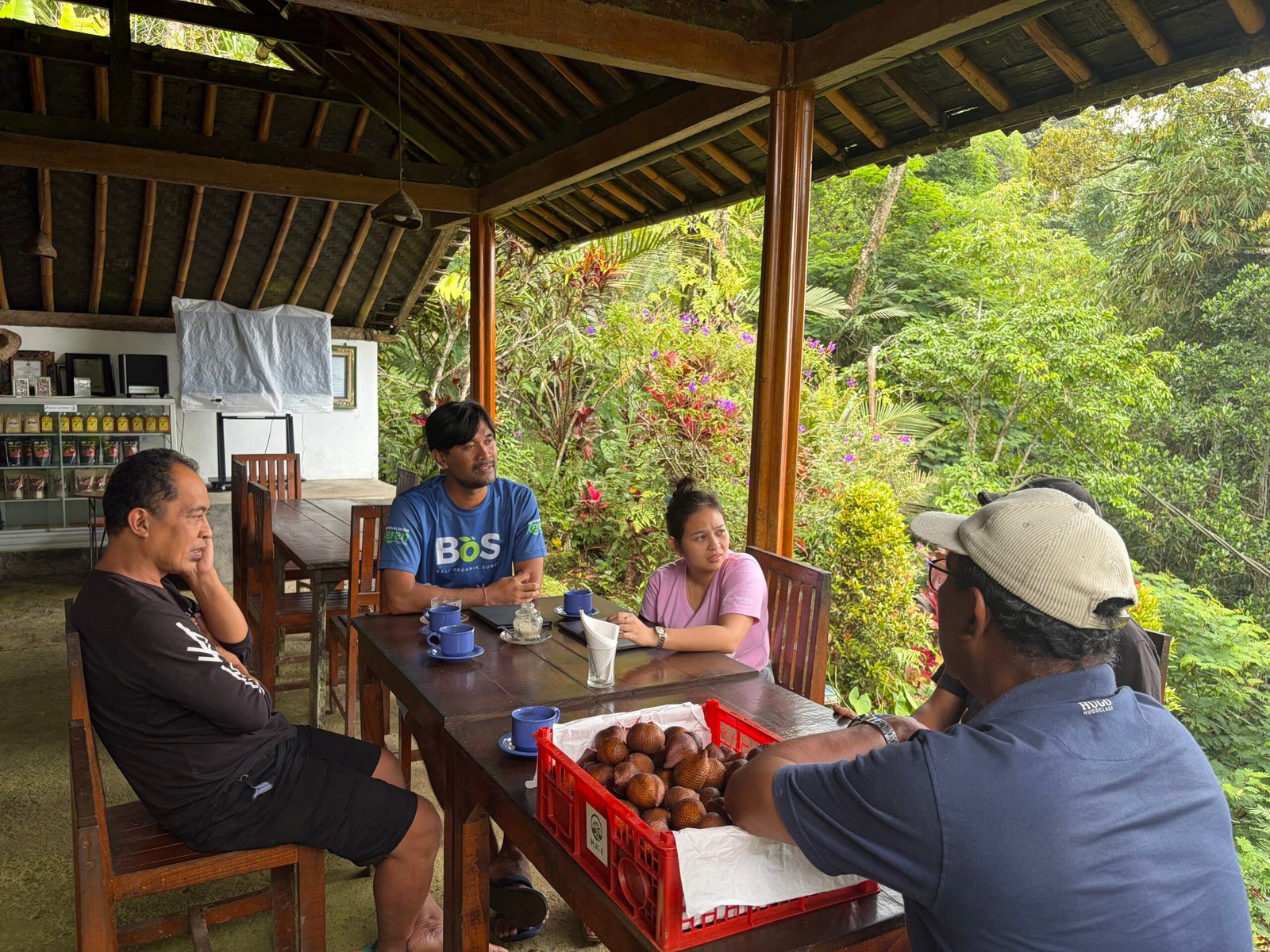 Diskusi Koperasi Petani Muda Keren bersama petani salak Desa Sibetan Karangasem