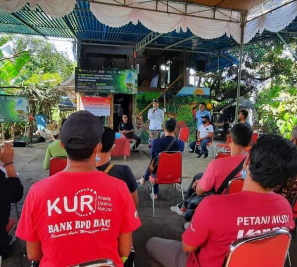P4S Buleleng Agro