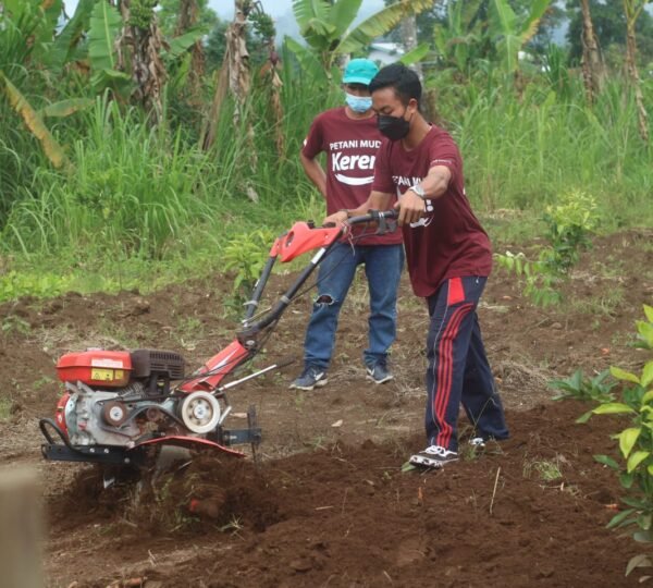 Latihan Menggunakan Cultivator
