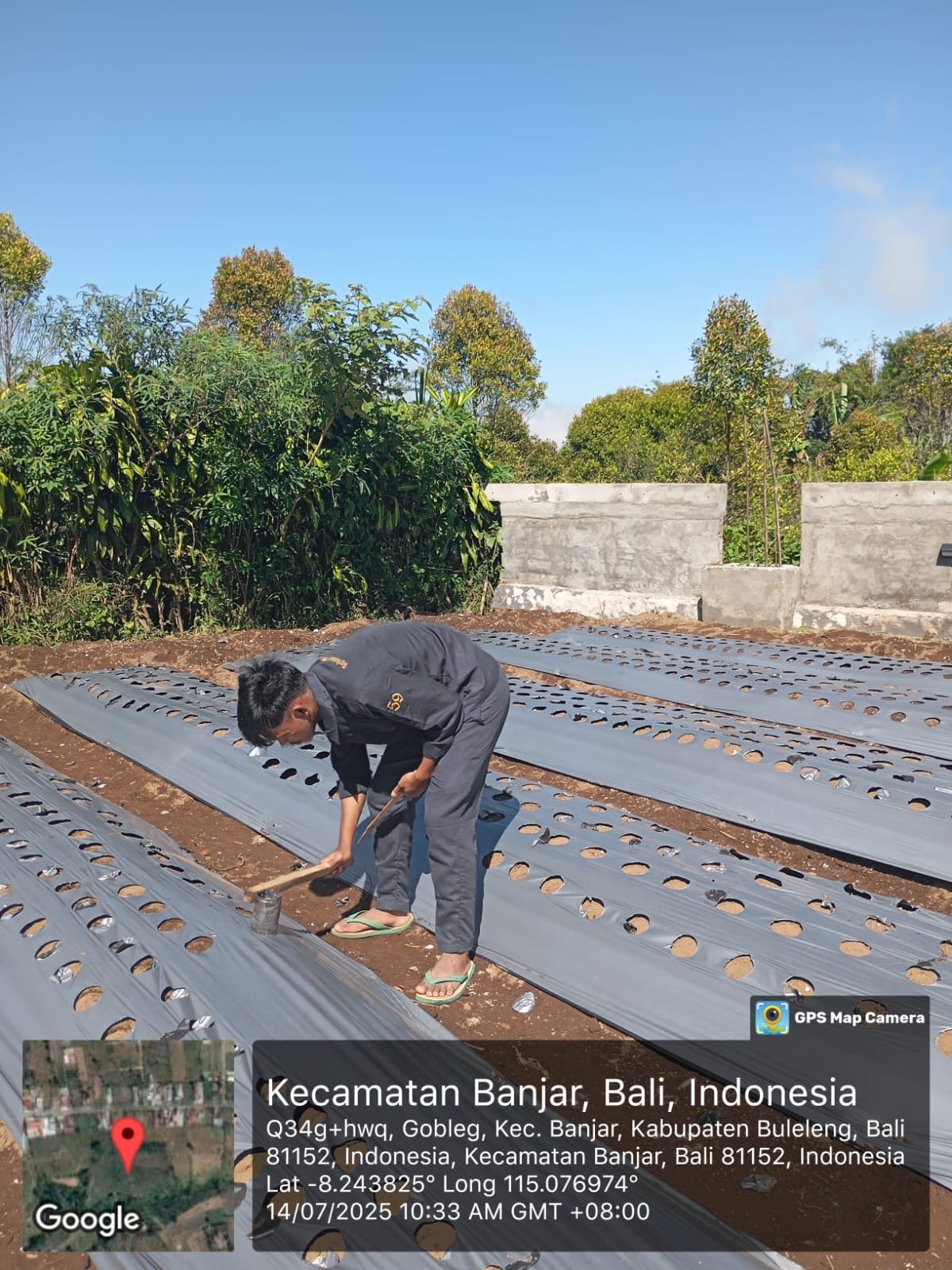 Praktik greenhouse mahasiswa IPB
