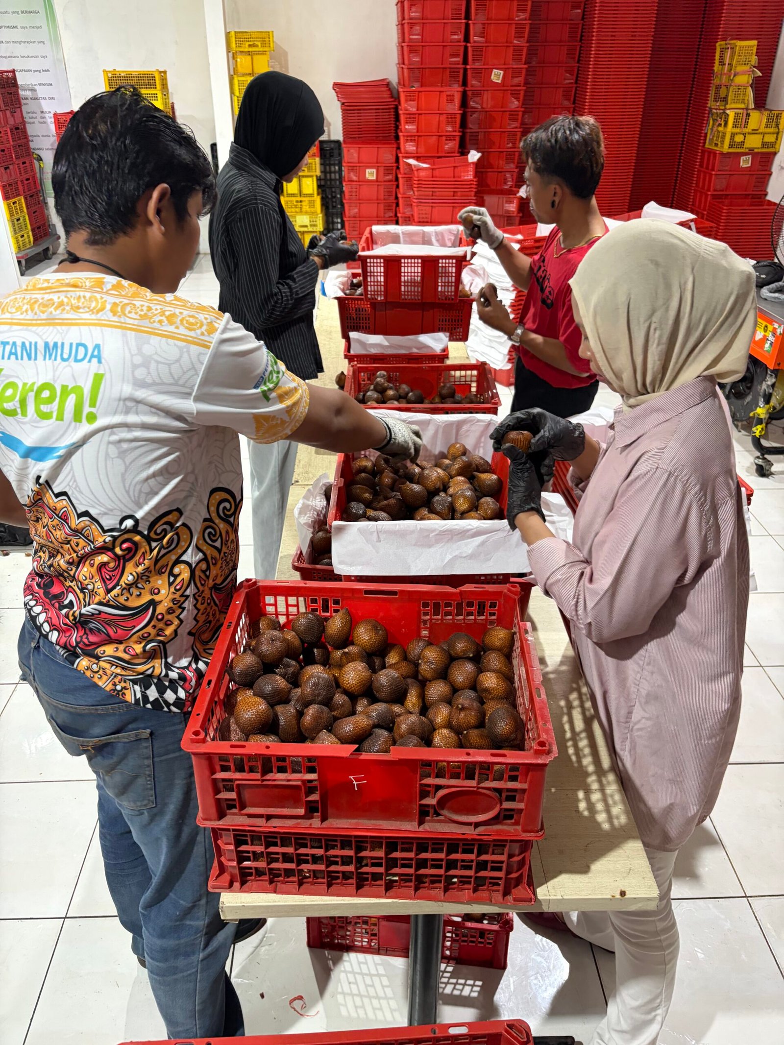 Aktivitas rantai nilai Salak Gula Bali Koperasi Petani Muda Keren