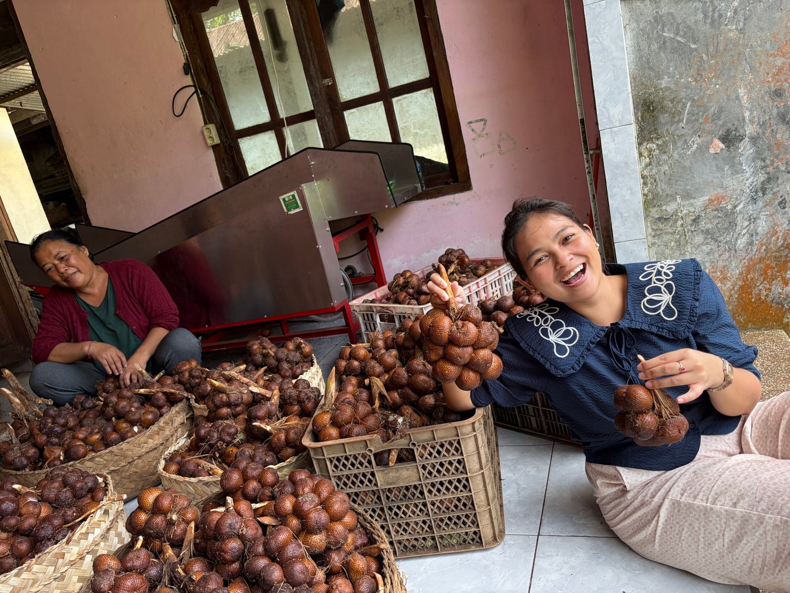 Hasil panen salak petani Sibetan