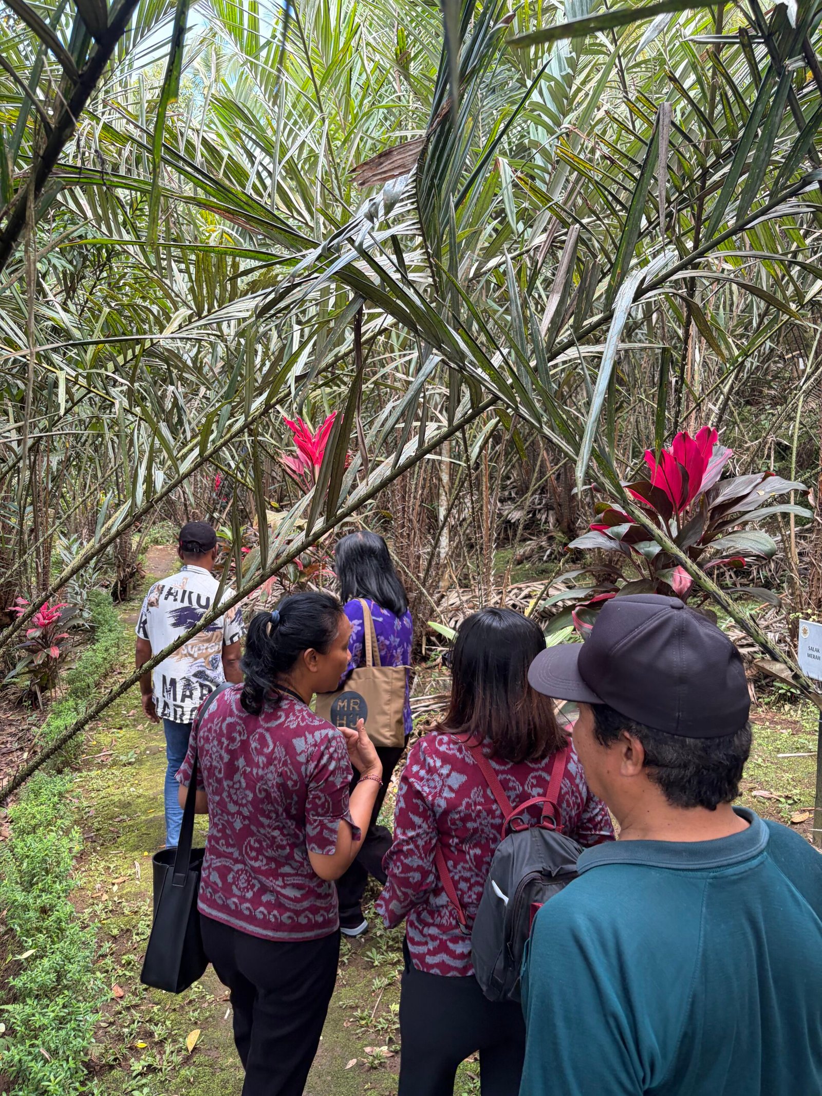 Kegiatan registrasi kebun bersama petani Sibetan