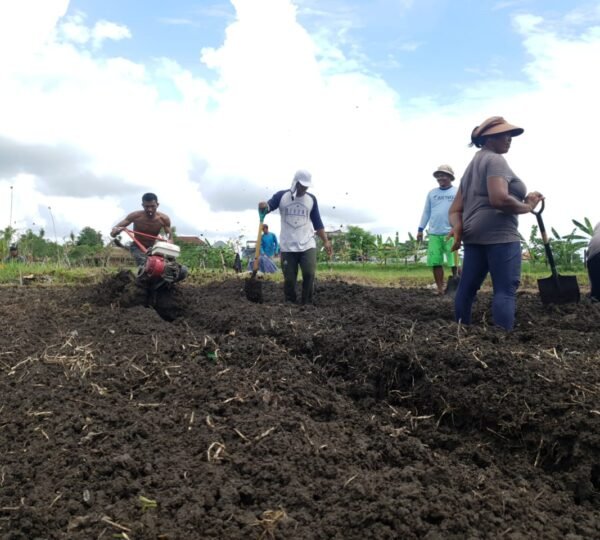 P4S Kerta Langu