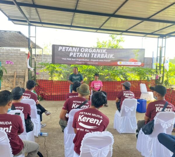 P4S Bali organikultur