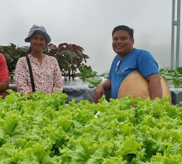 Ketua P4S Mimba Farm
