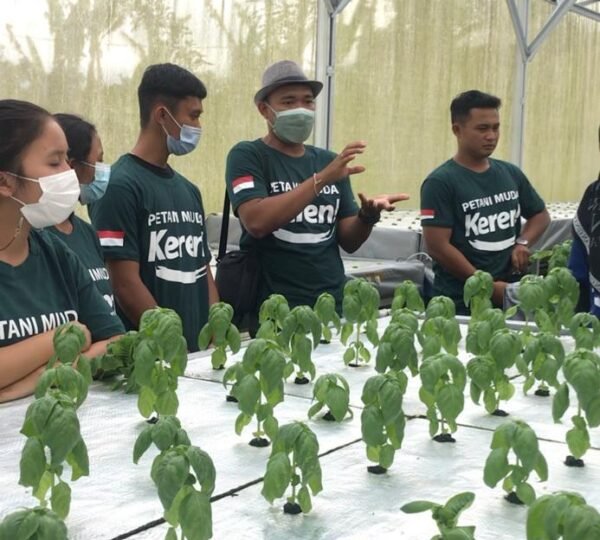 P4S Mimba Farm