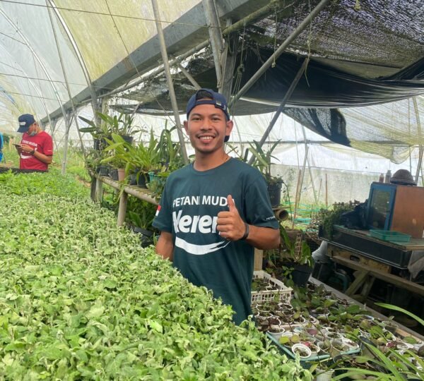Ganteng Ganteng PMK
