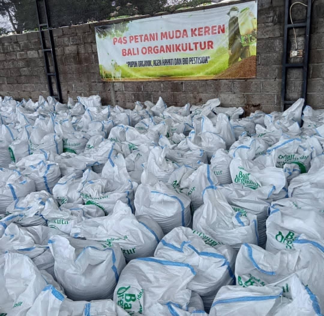 Karung berisi hasil pengolahan pupuk organik P4S Bali Organikultur