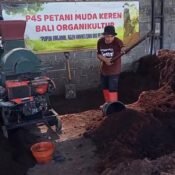 Anggota Koperasi Petani Muda Keren di lokasi P4S Bali Organikultur