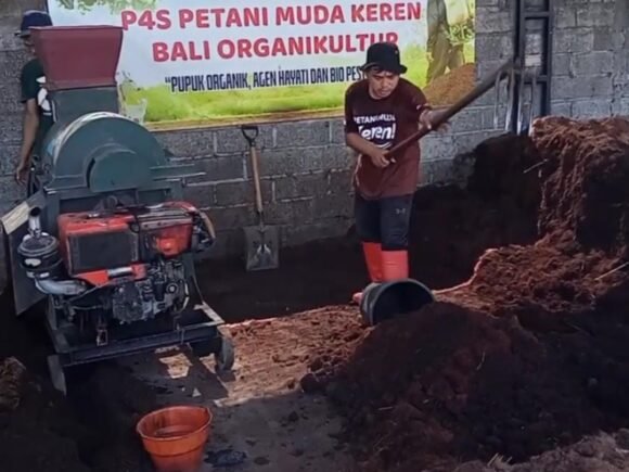 P4S Bali Organikultur, Wadah Pembuatan Pupuk Organik, Agens Hayati, dan Pestisida Nabati Koperasi PMK