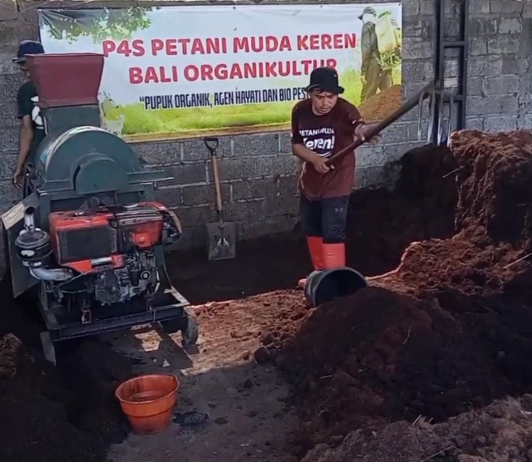 Anggota Koperasi Petani Muda Keren di lokasi P4S Bali Organikultur