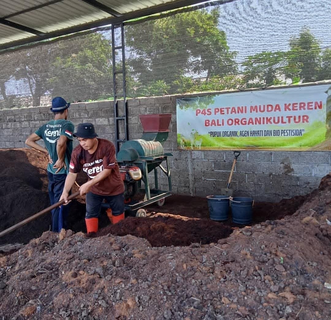 Aktivitas pengolahan pupuk organik di area P4S Bali Organikultur