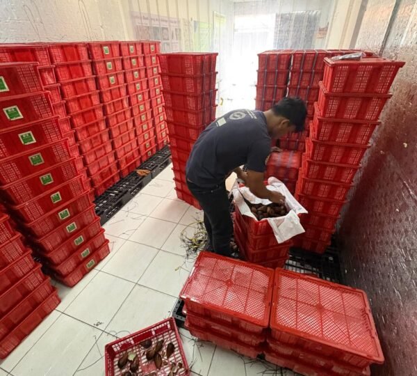 P4S Bali Organik Subak
