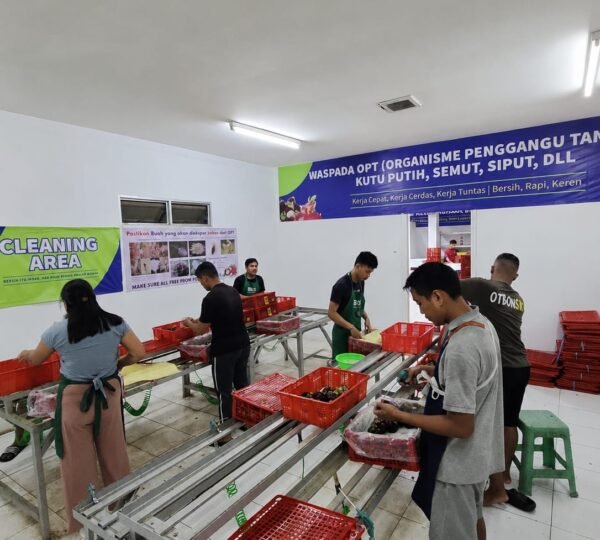 P4S Bali Organik Subak