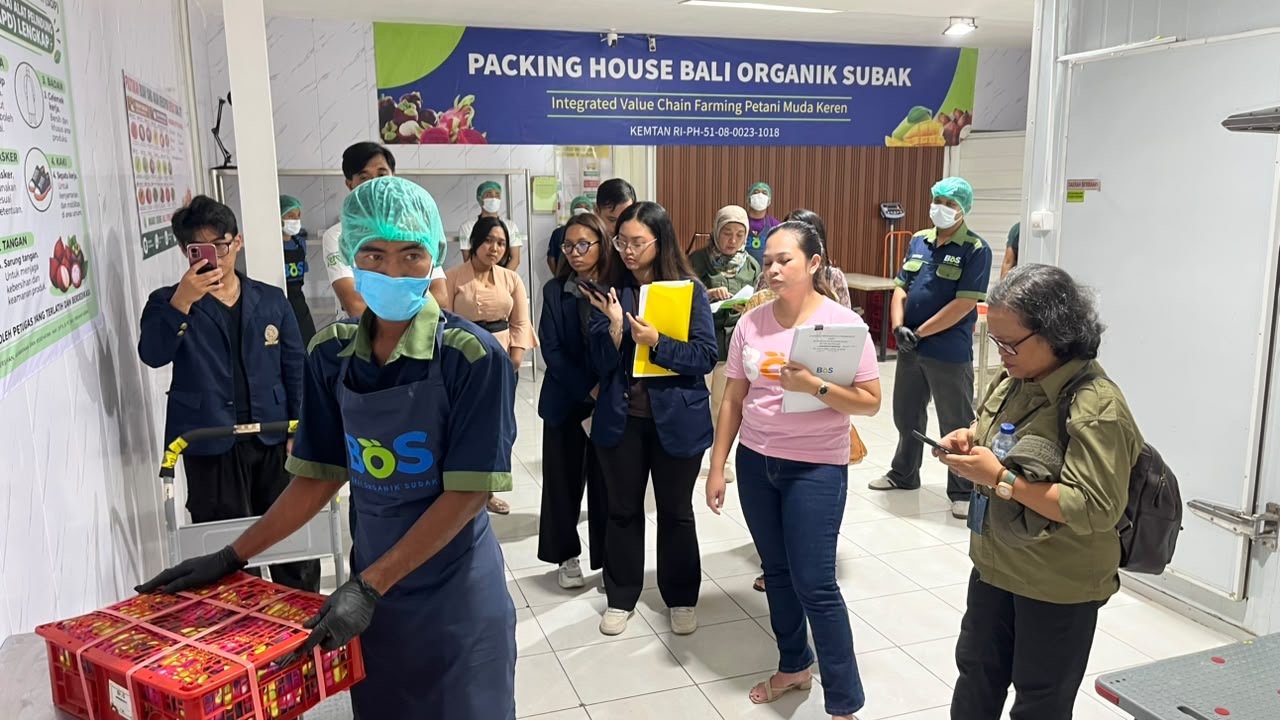Audit OKKPD Dinas Pertanian Provinsi Bali di Packing House Bali Organik Subak, dokumentasi 10