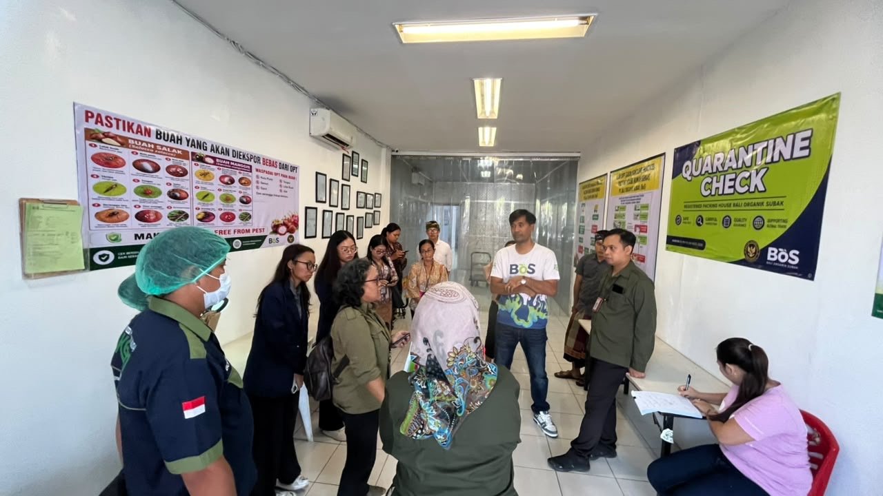 Audit OKKPD Dinas Pertanian Provinsi Bali di Packing House Bali Organik Subak, dokumentasi 12