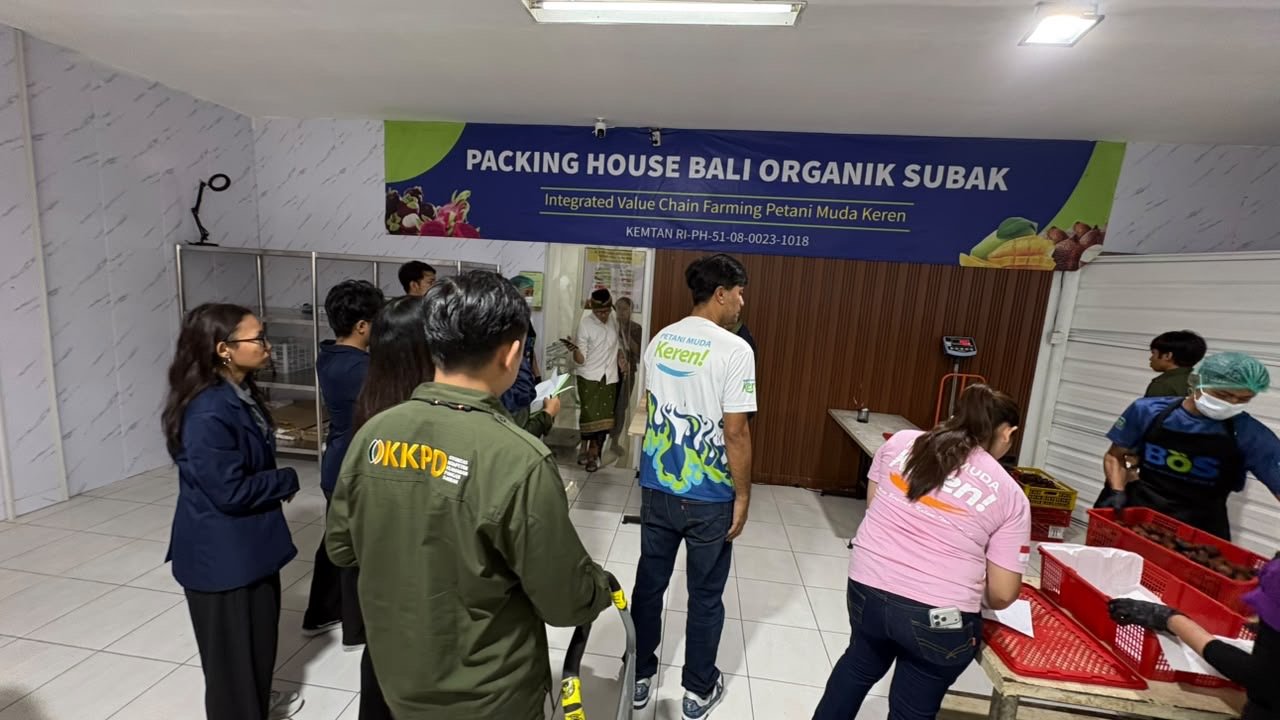 Audit OKKPD Dinas Pertanian Provinsi Bali di Packing House Bali Organik Subak, dokumentasi 3