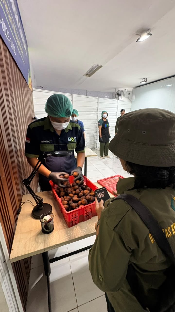 Audit OKKPD Dinas Pertanian Provinsi Bali di Packing House Bali Organik Subak, dokumentasi 4