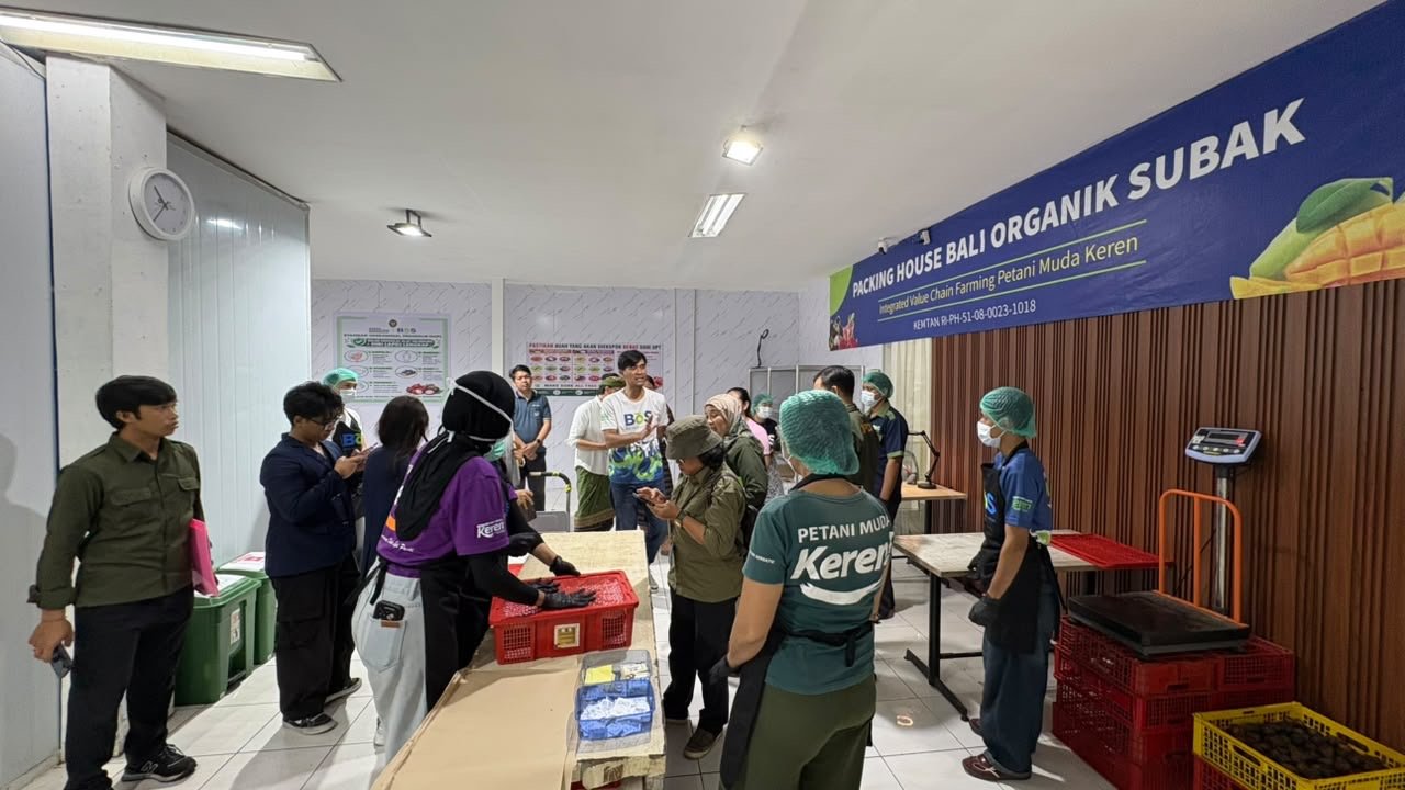 Audit OKKPD Dinas Pertanian Provinsi Bali di Packing House Bali Organik Subak, dokumentasi 5