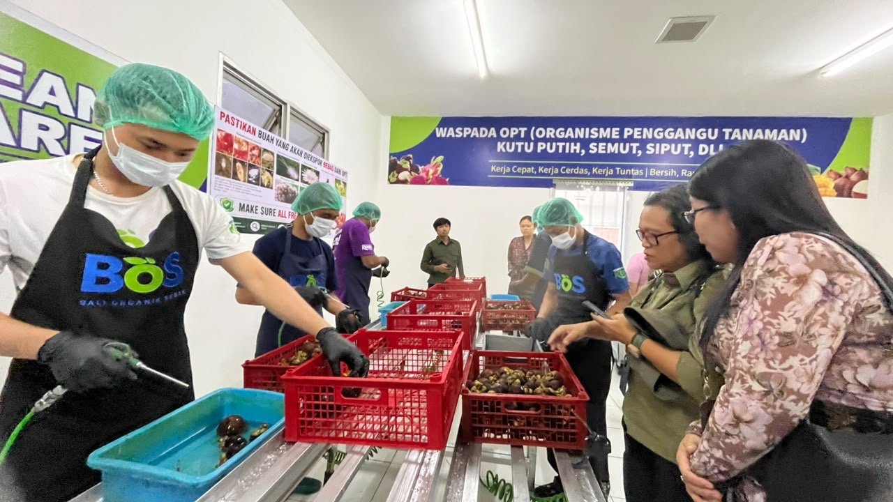 Audit OKKPD Dinas Pertanian Provinsi Bali di Packing House Bali Organik Subak, dokumentasi 7