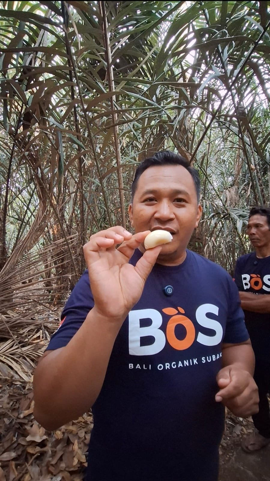 Monitoring kebun salak Munduk Temu Koperasi Petani Muda Keren