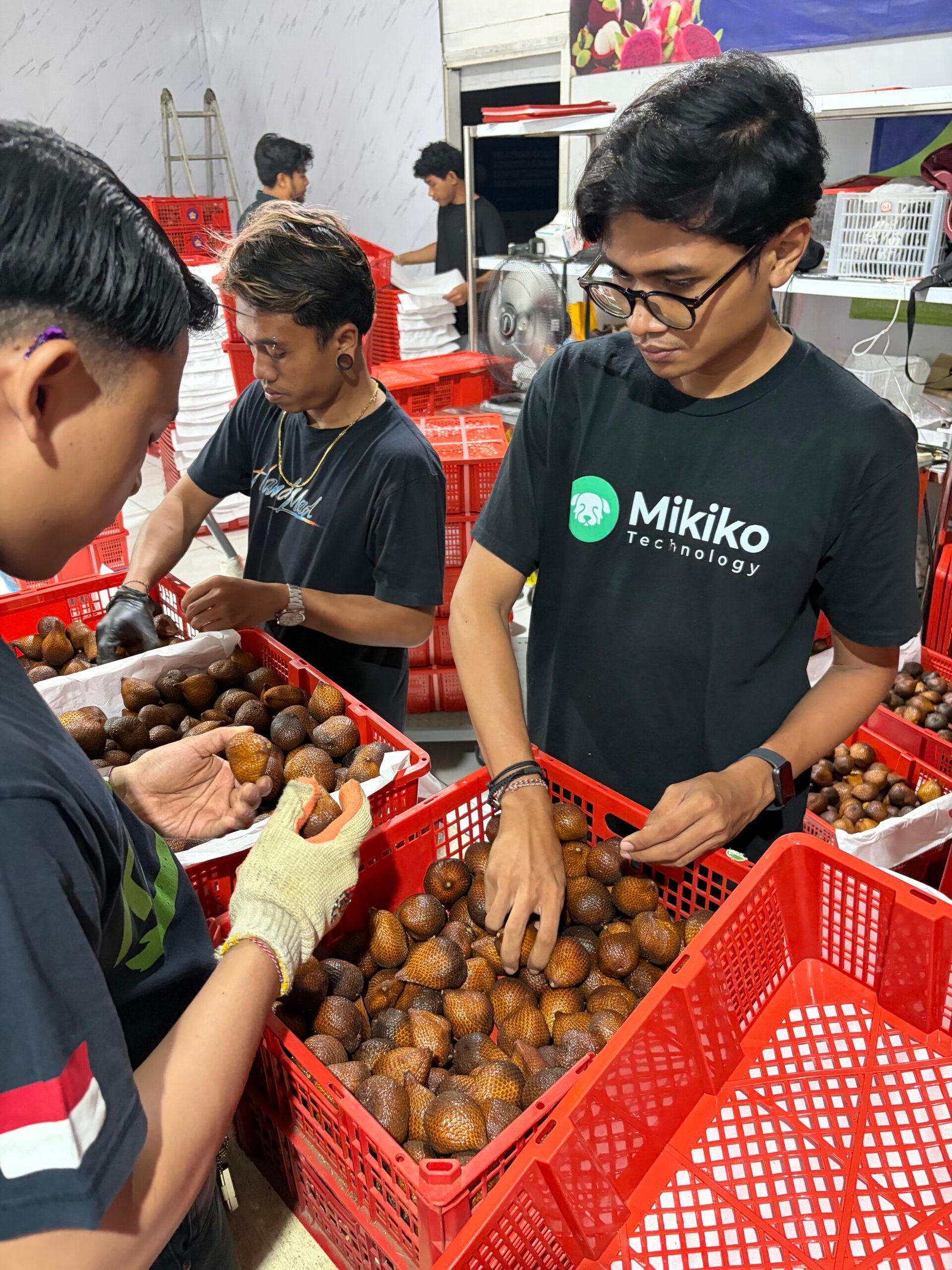 Mahasiswa Belajar Standar Ekspor Salak di Bali Organik Subak