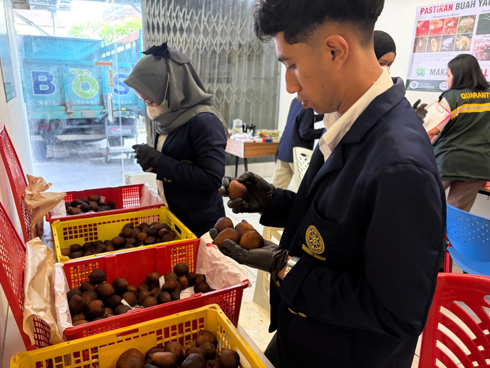 Pemeriksaan Mutu Salak Ekspor di Packing House BOS