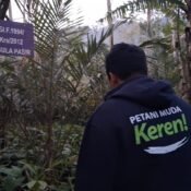 Pengecekan kebun salak gula pasir Kelompok Tani Tumpang Lestari Desa Jungutan Karangasem