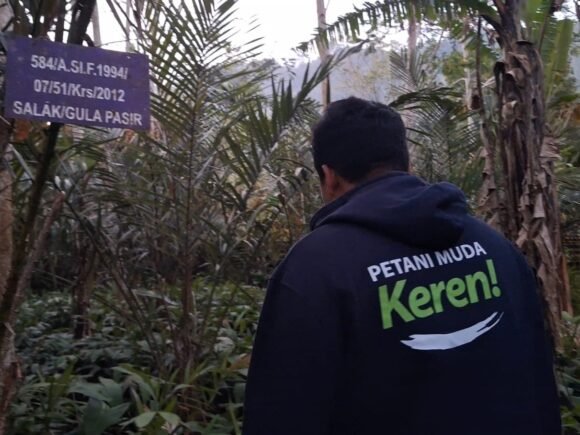 Dari Kebun hingga Packing House: Kelompok Tani Tumpang Lestari Perkuat Manajemen Salak untuk Pasar Ekspor