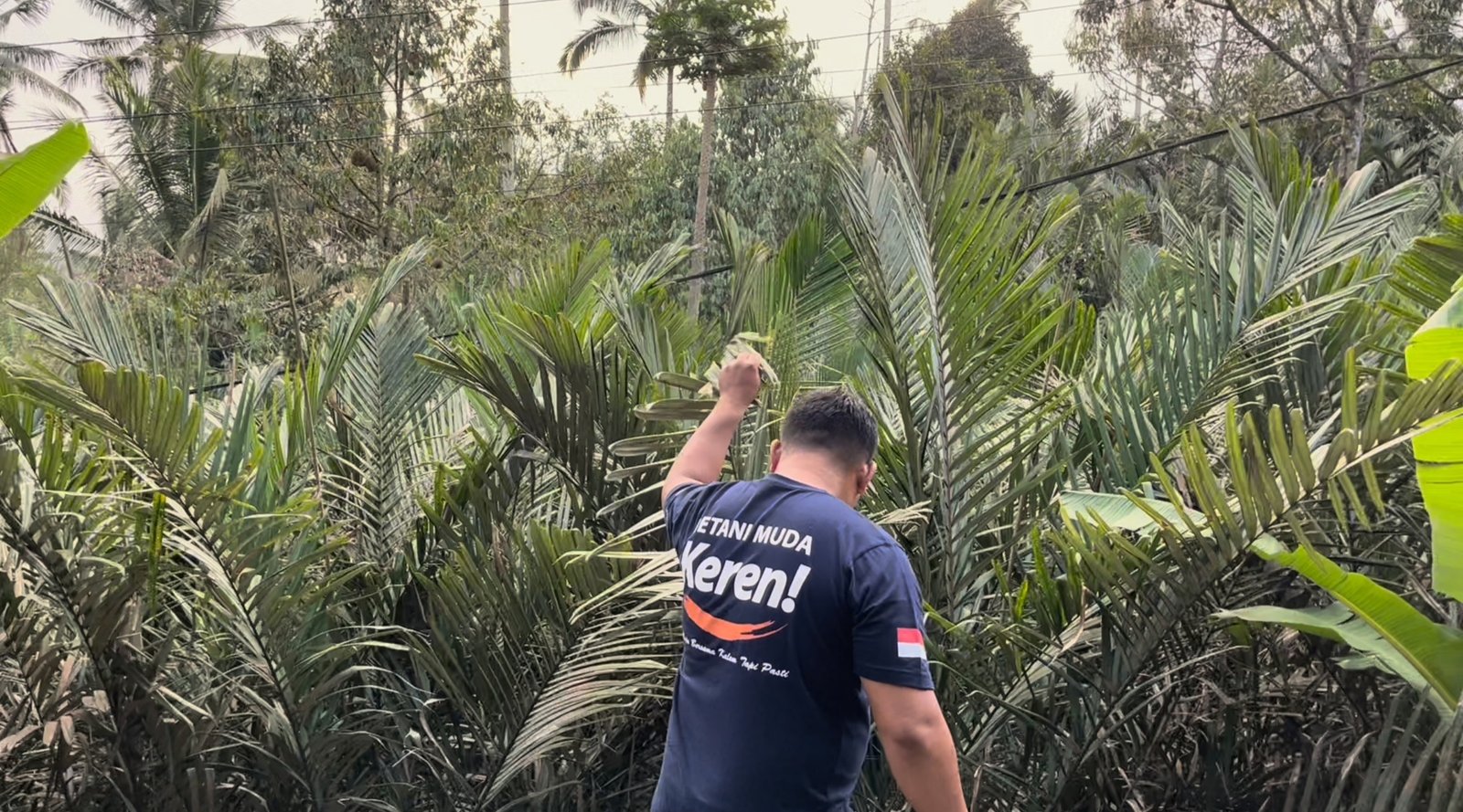 Monitoring kebun salak Munduk Temu Koperasi Petani Muda Keren