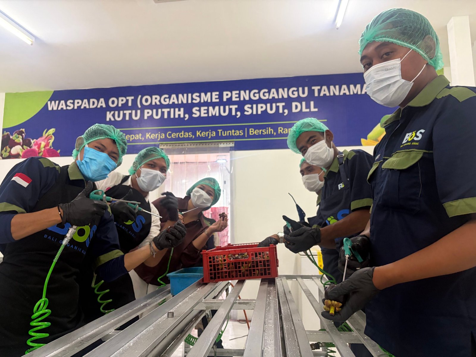 Peserta pelatihan kompetensi QC manggis