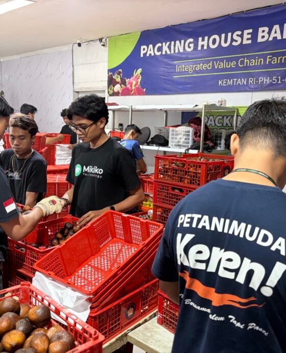 Mahasiswa Terlibat Langsung dalam Ekspor Salak Bali ke Tiongkok, PMK Cetak Generasi Agripreneur