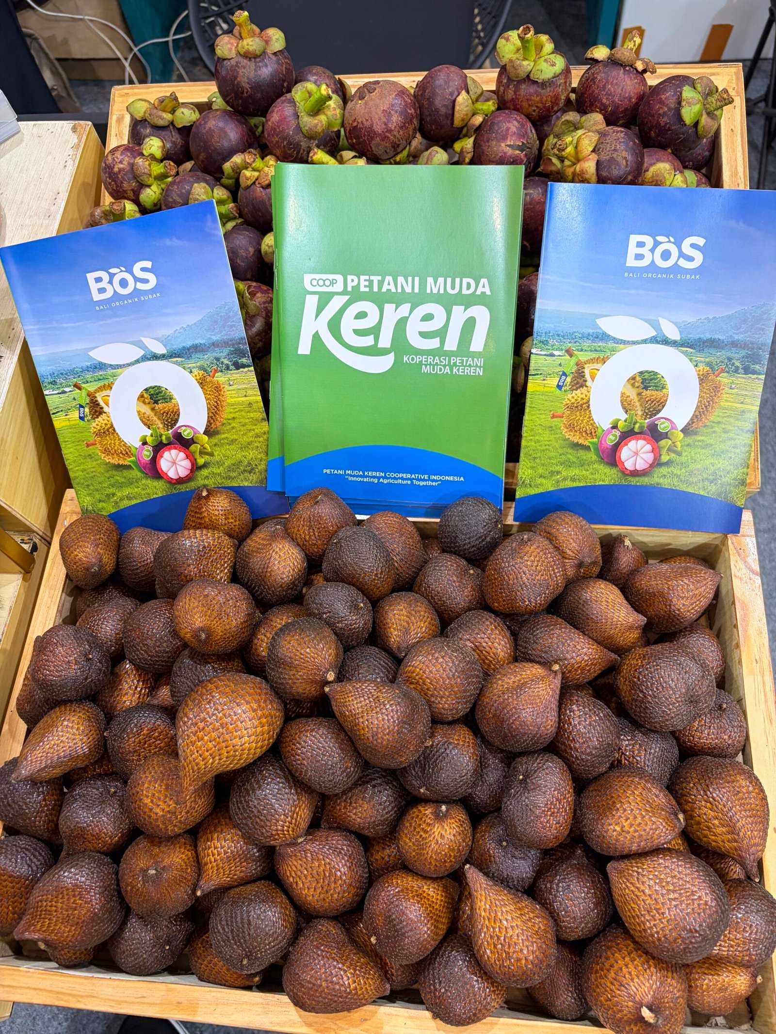 Buah tropis dan katalog produk ekspor