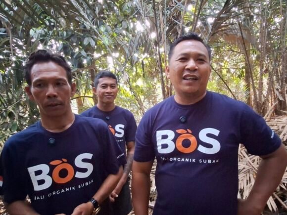 Koperasi Petani Muda Keren Perkuat GAP Kebun Salak Munduk Temu Tabanan, Champion Petani Jadi Penggerak Rantai Pasok